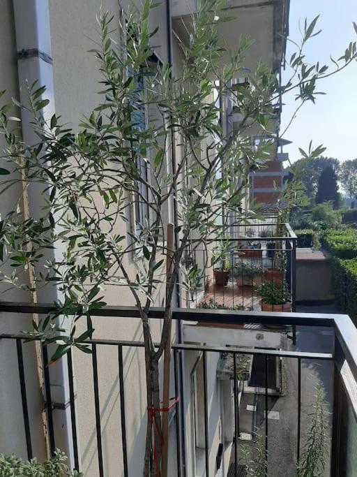 Ferienwohnung Mice Ottima Soluzione Per Il Centro E La Svizzera Como Exterior foto